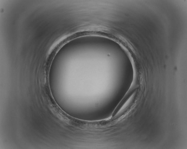 X0000082741069200702091857