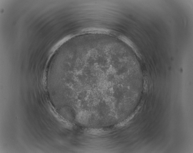 X0000082741074200702091857