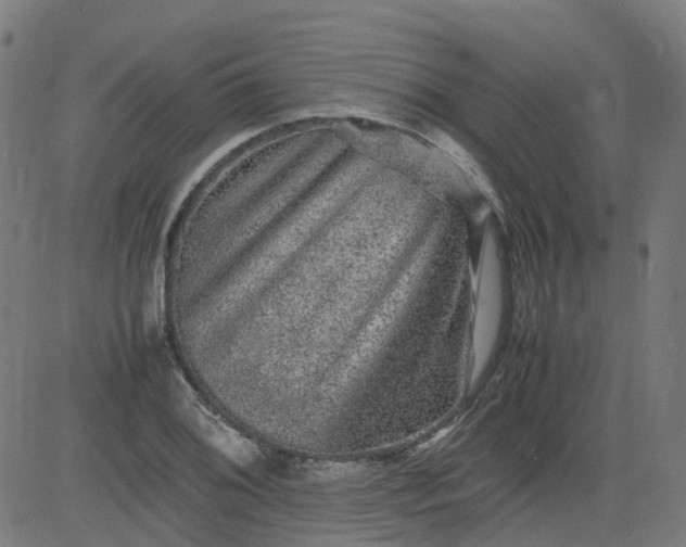 X0000082741076200702091857