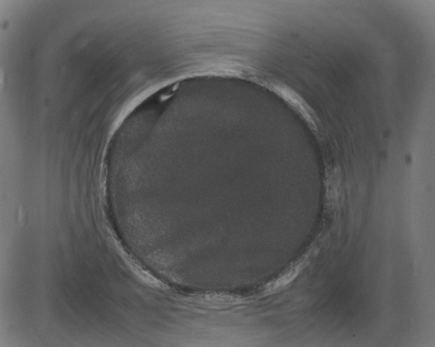 X0000082741077200702091857