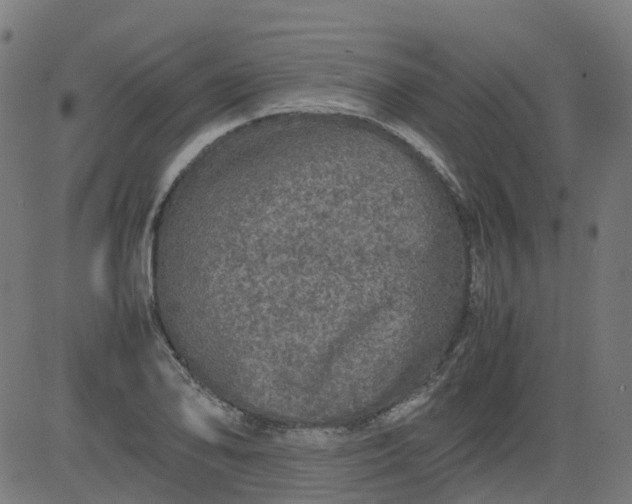 X0000082741078200702091857