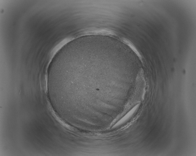 X0000082741079200702091857