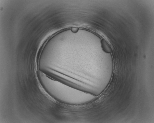 X0000082741080200702091857