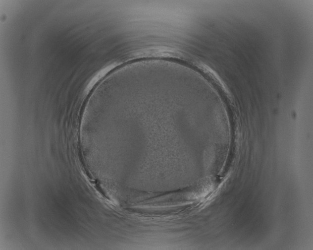 X0000082741081200702091857