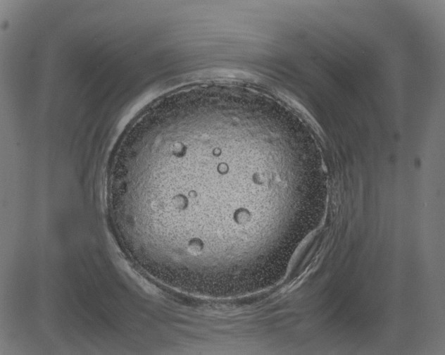 X0000082741083200702091857