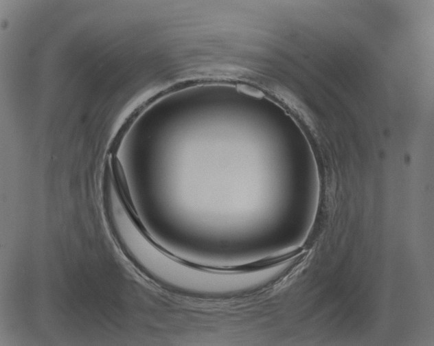 X0000082741085200702091857