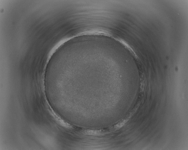 X0000082741086200702091857