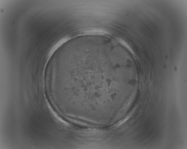 X0000082741087200702091857