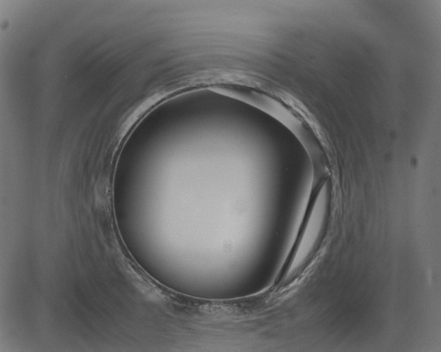 X0000082741089200702091857