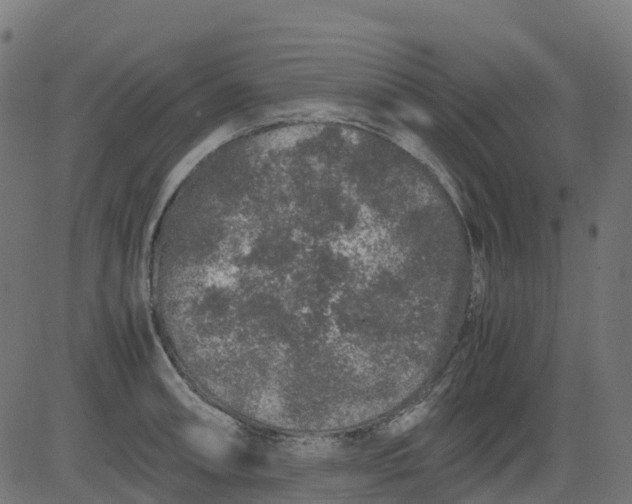 X0000082741090200702091857