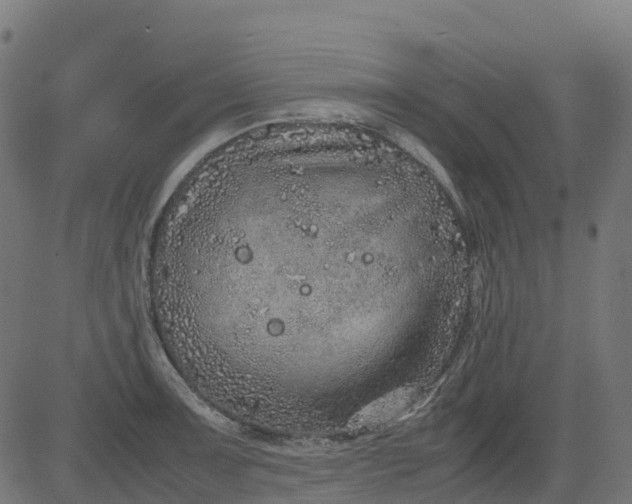 X0000082741091200702091857