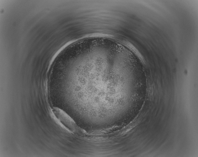 X0000082741092200702091857