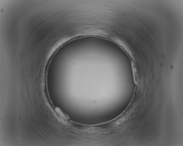 X0000082741093200702091857