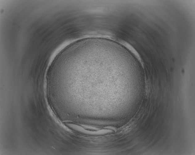 X0000082741096200702091857