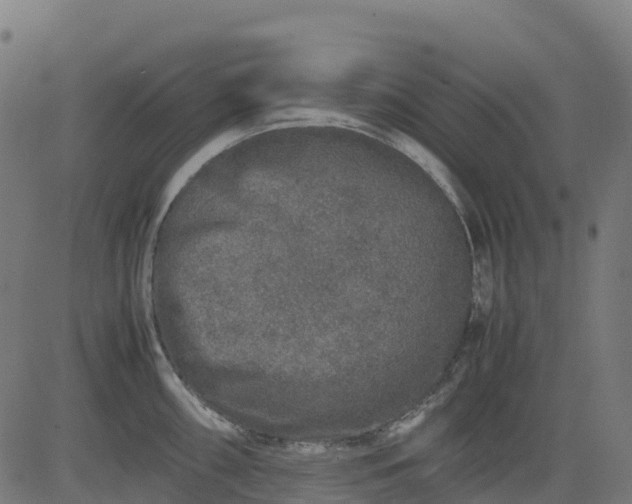 X0000082741098200702091857