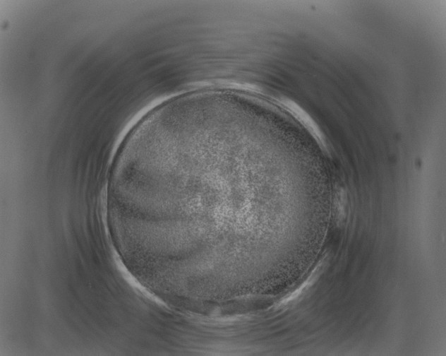 X0000082741100200702091857