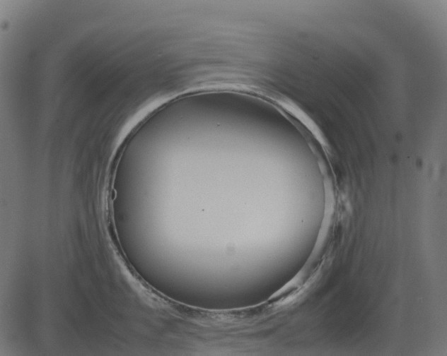 X0000082741101200702091857