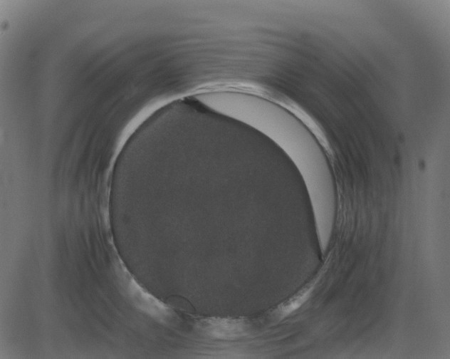 X0000082741102200702091857