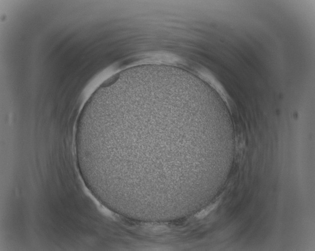 X0000082741103200702091857