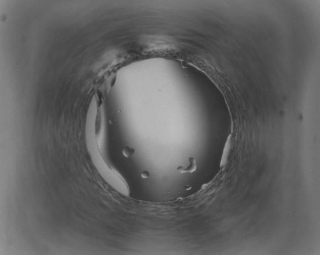 X0000082741109200702091856