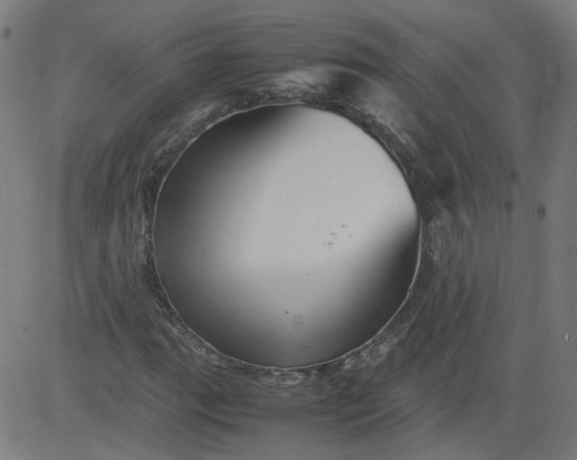 X0000082741111200702091856