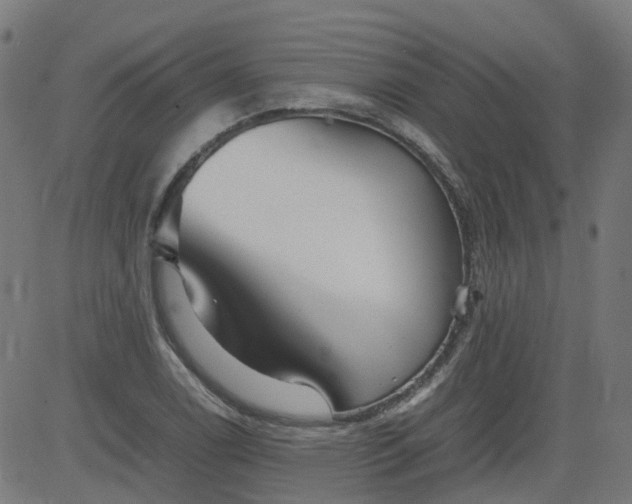 X0000082741122200702091856