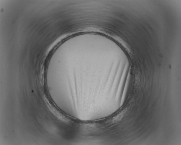 X0000082741126200702091856