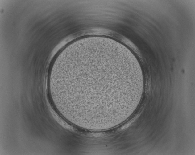 X0000082741130200702091856