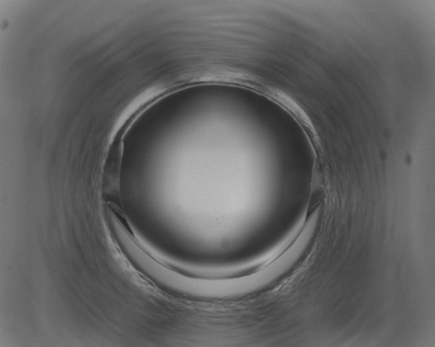 X0000082741138200702091857