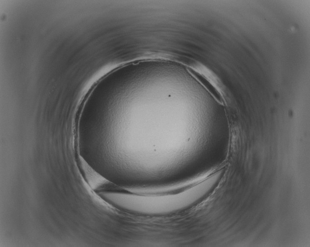 X0000082741143200702091857