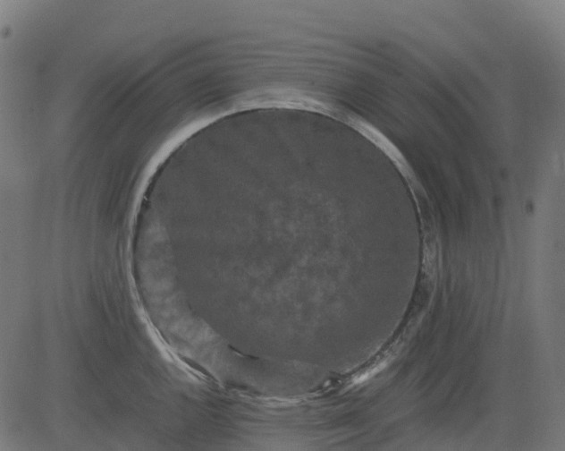 X0000082741144200702091857