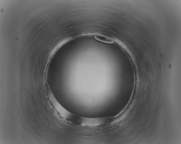 X0000082741145200702091857