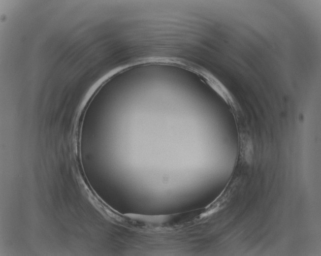 X0000082741148200702091857