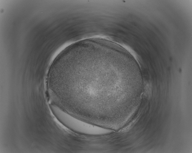 X0000082741151200702091857