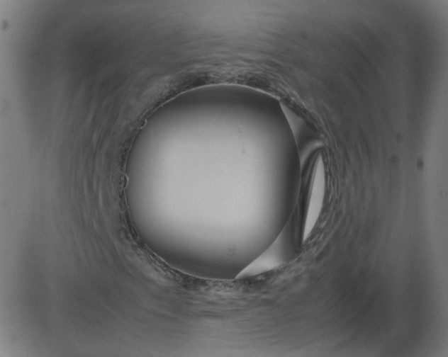 X0000082741153200702091856