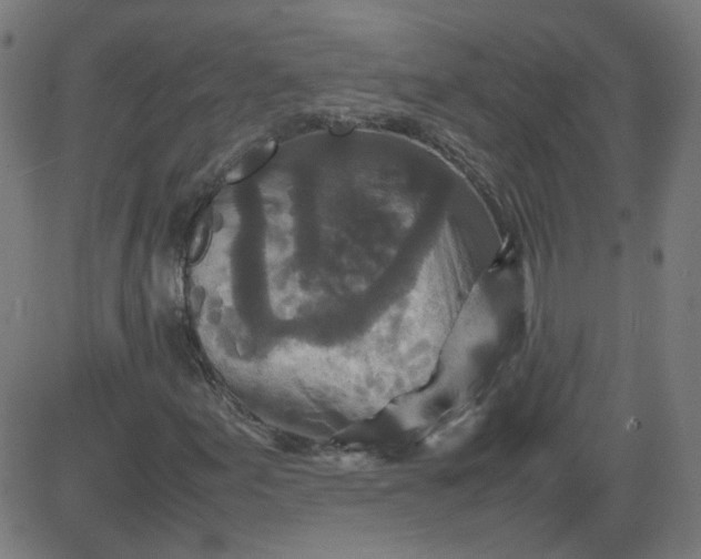 X0000082741155200702091856