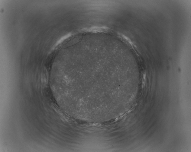 X0000082741158200702091856