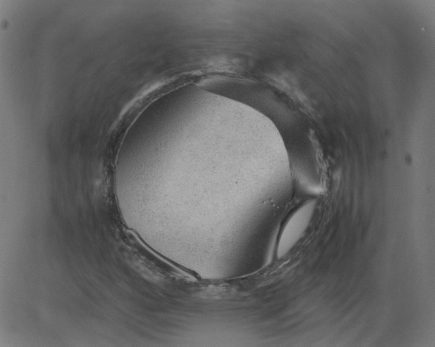 X0000082741160200702091856