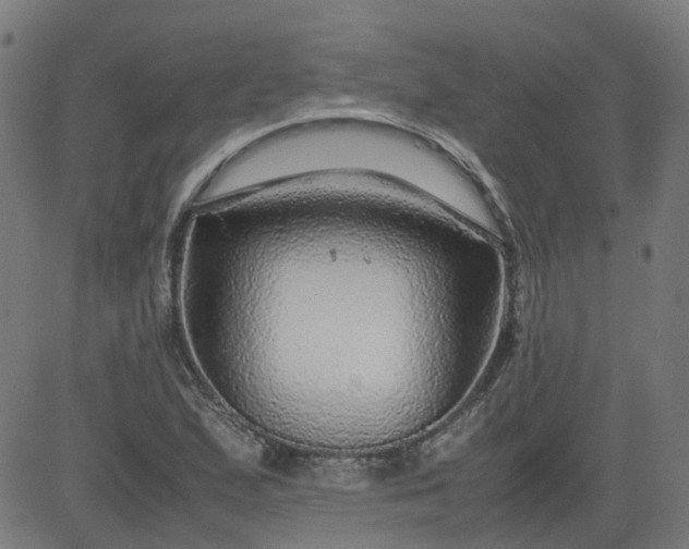 X0000082741167200702091856