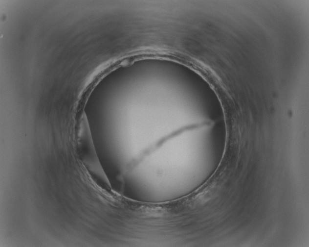 X0000082741168200702091856