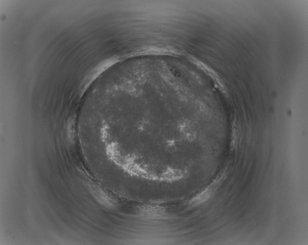 X0000082741170200702091856