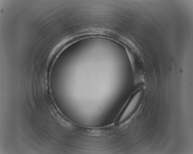 X0000082741172200702091856