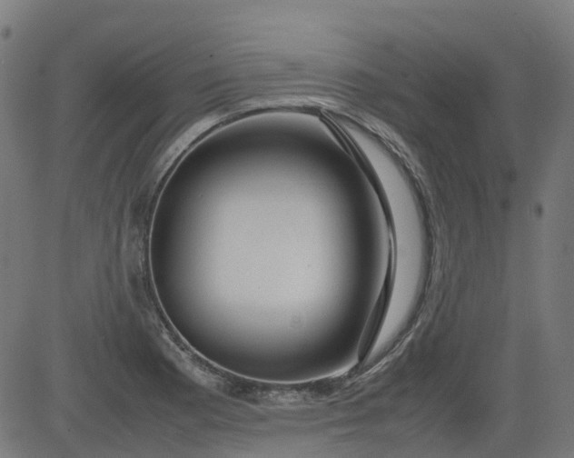 X0000082741177200702091856