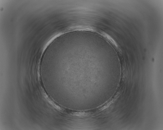 X0000082741182200702091855