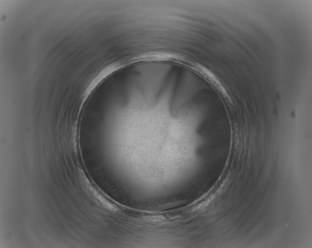 X0000082741186200702091855