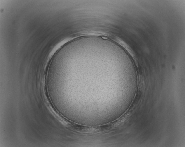 X0000082741187200702091855