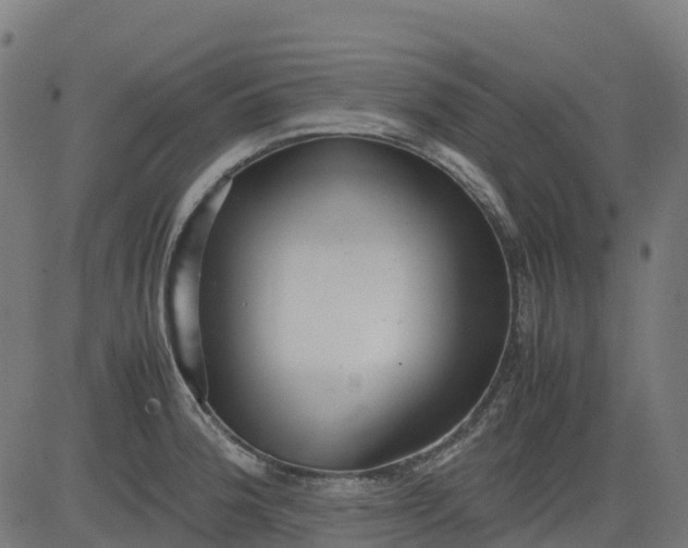 X0000082741188200702091855