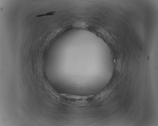 X0000082741201200702091854