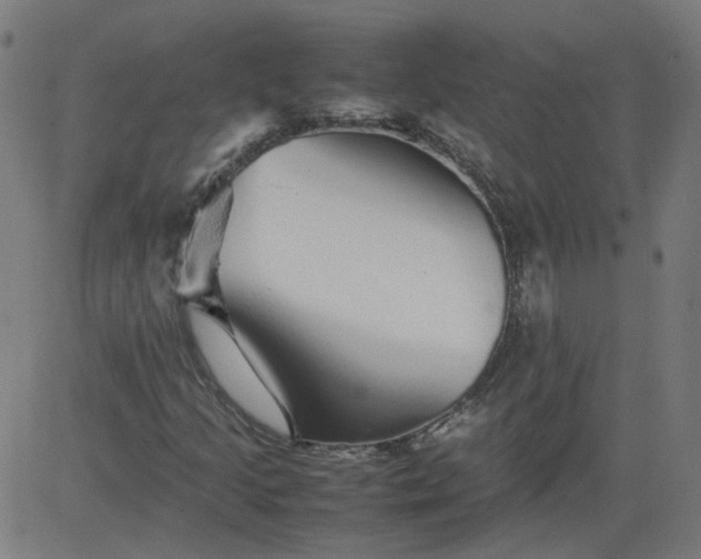 X0000082741205200702091854