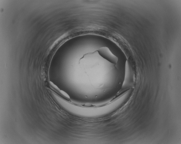 X0000082741210200702091855